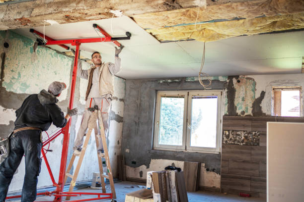 Best Cellulose Insulation  in East Milton, FL