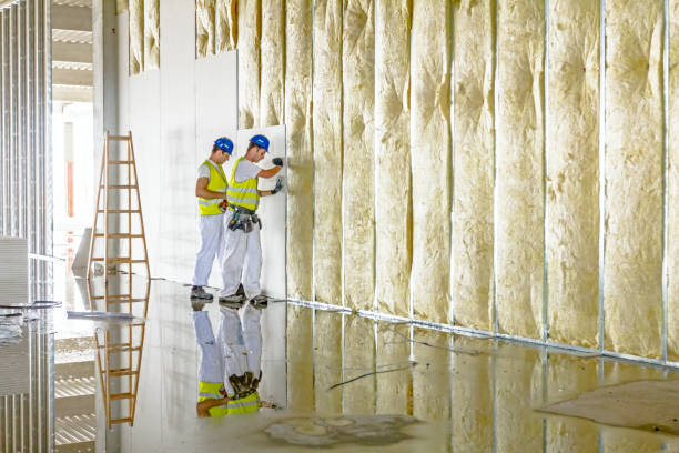 Best Insulation Contractor Near Me  in East Milton, FL